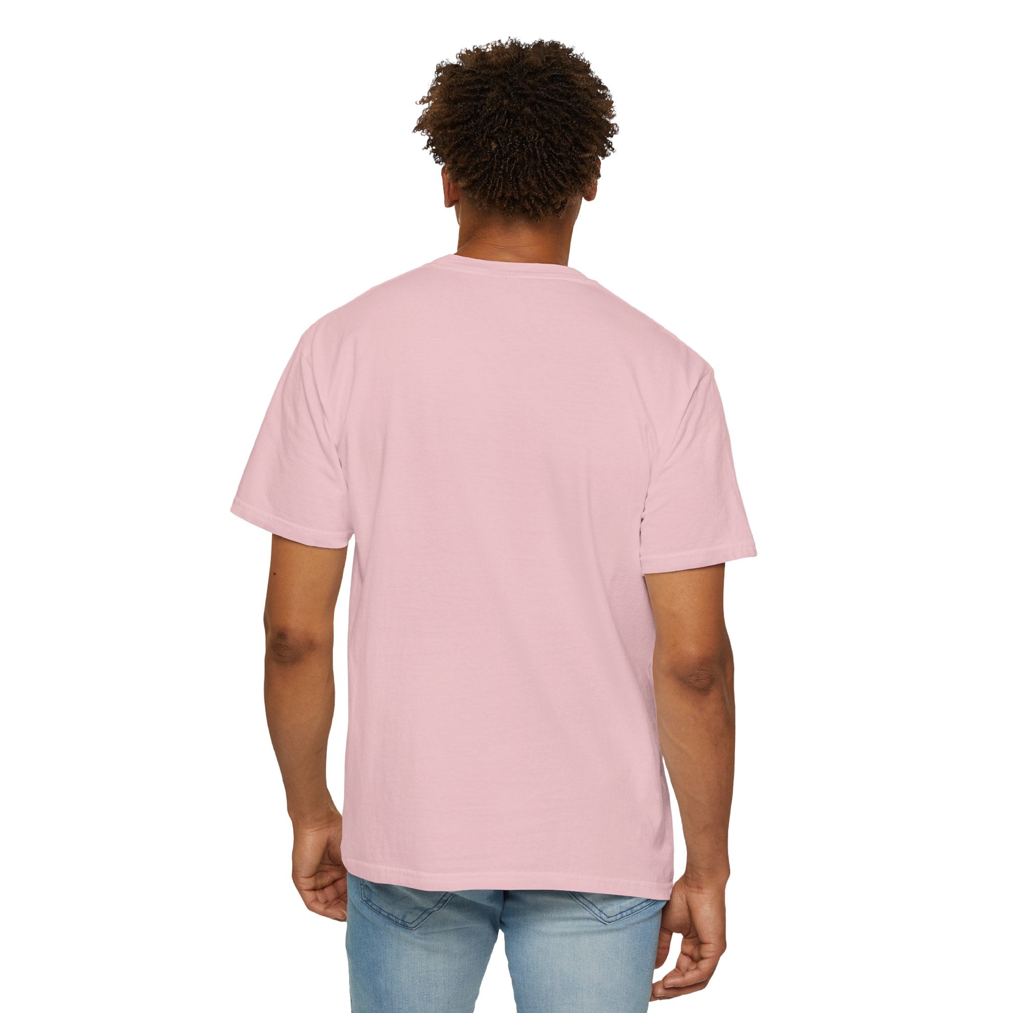 Acadia National Park T-Shirt | Est. 1919 | Parks of America | Comfort Colors Shirt