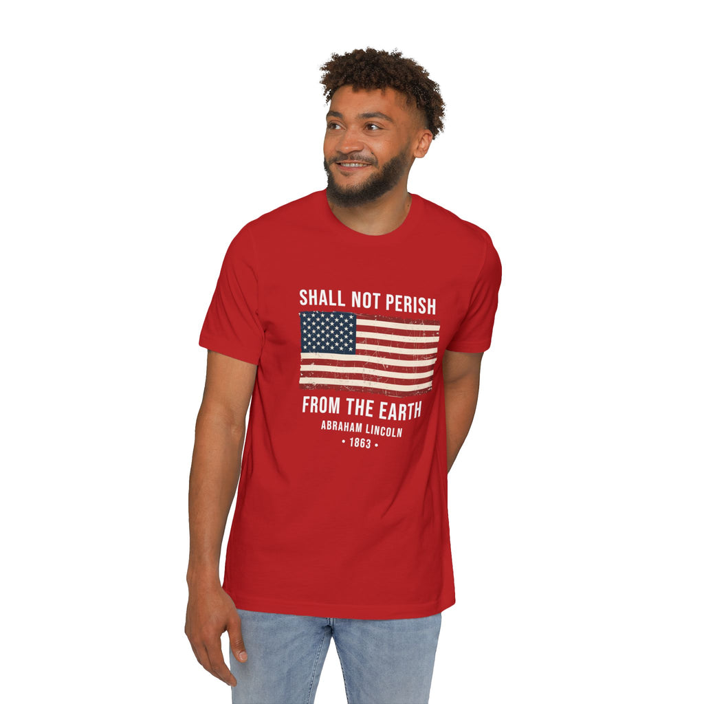 Shall Not Perish From The Earth T-Shirt | Abraham Lincoln 1863 | Gettysburg Address Tee